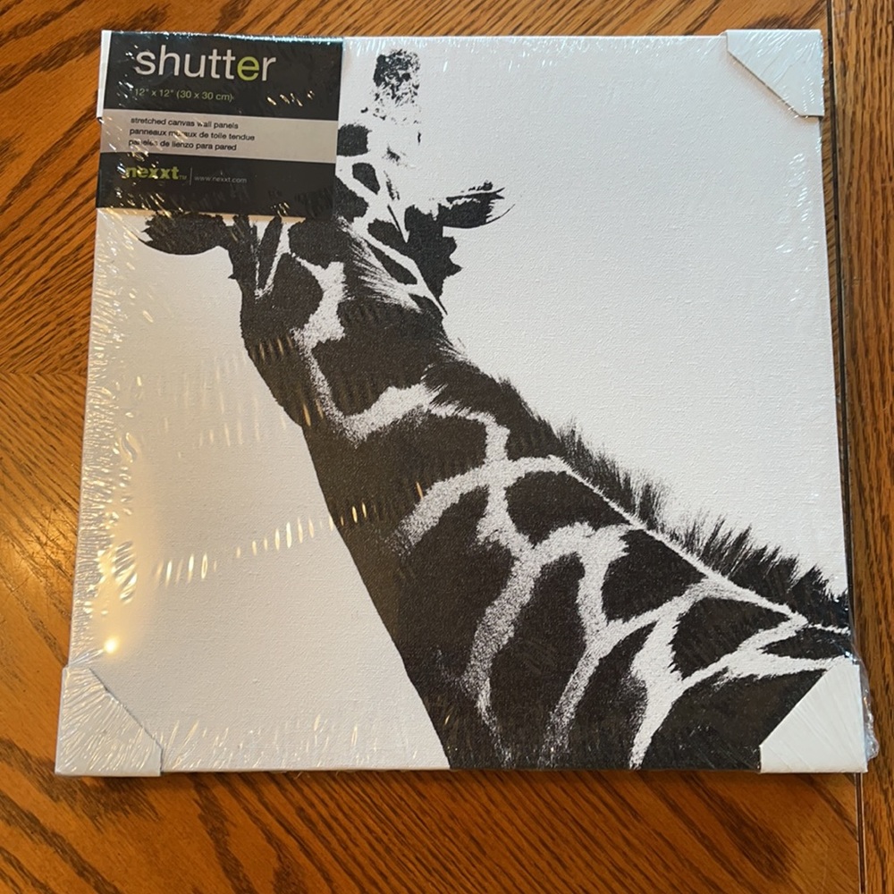NWT Canvas Giraffe wall Art
